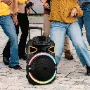 Green Lion PartyLife-500 Bluetooth Speaker - Black.webp