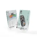 Green Lion Transparent Wireless, Bluetooth & Rechargeable Mouse 2 1600DPI - Black