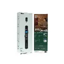 Green Lion Wireless Presenter with Retractable Pointer - Black