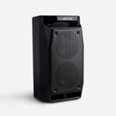 Green Lion Party Life 100 Bluetooth Speaker Black