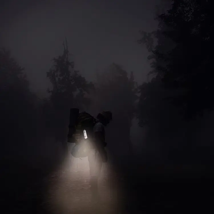 WhatsApp Image 2025-10-27 at 12.41.58_43cf14f5.webp