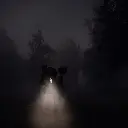 WhatsApp Image 2025-10-27 at 12.41.58_43cf14f5.webp