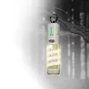 WhatsApp Image 2025-10-27 at 12.41.30_560fe59d.webp