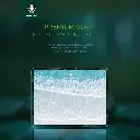 Green Lion iPad Screen Guard - Clear (3).webp