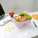 Green Lion Lunch Mate Electric Lunch Box5.webp
