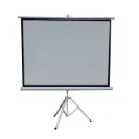 Green Lion Portable Projector Screen with Tripod Stand 72 - Matte - White