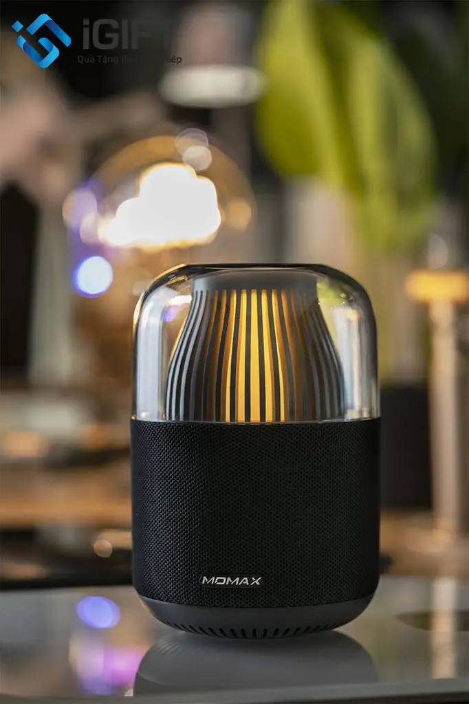 Momax Space Portable Wireless Speaker-Black