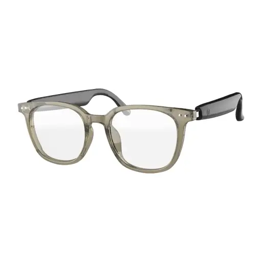 [GNSTKSMTGLSBK] Green Lion Stockholm Smart Glasses - Black